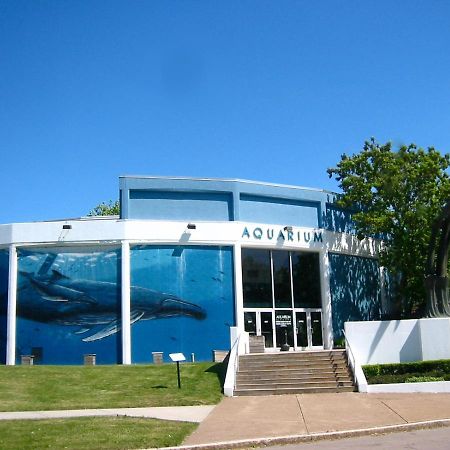 Falls Retreat - Walk To The Falls, The Casino And All Downtown Restaurants - Across From The Aquarium Niagara Falls Ngoại thất bức ảnh