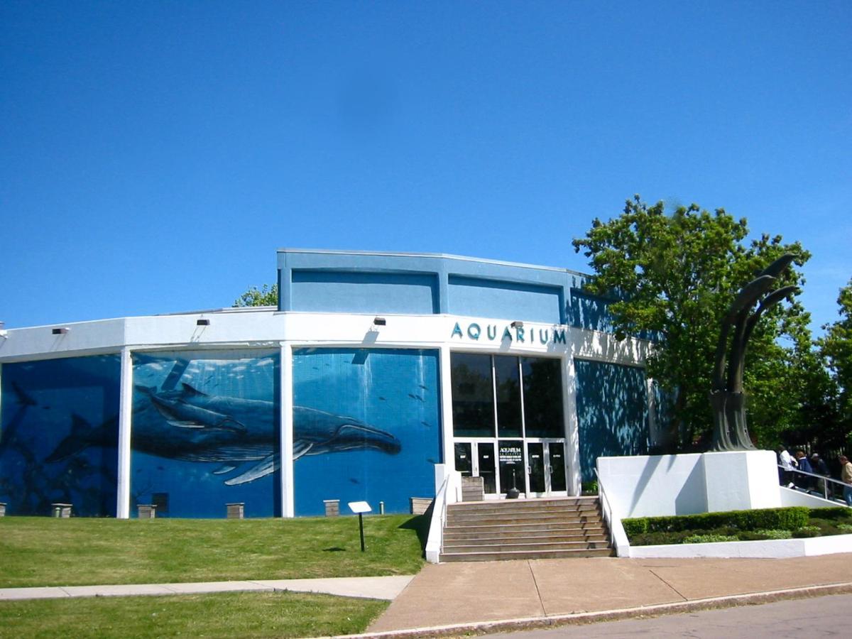 Falls Retreat - Walk To The Falls, The Casino And All Downtown Restaurants - Across From The Aquarium Niagara Falls Ngoại thất bức ảnh